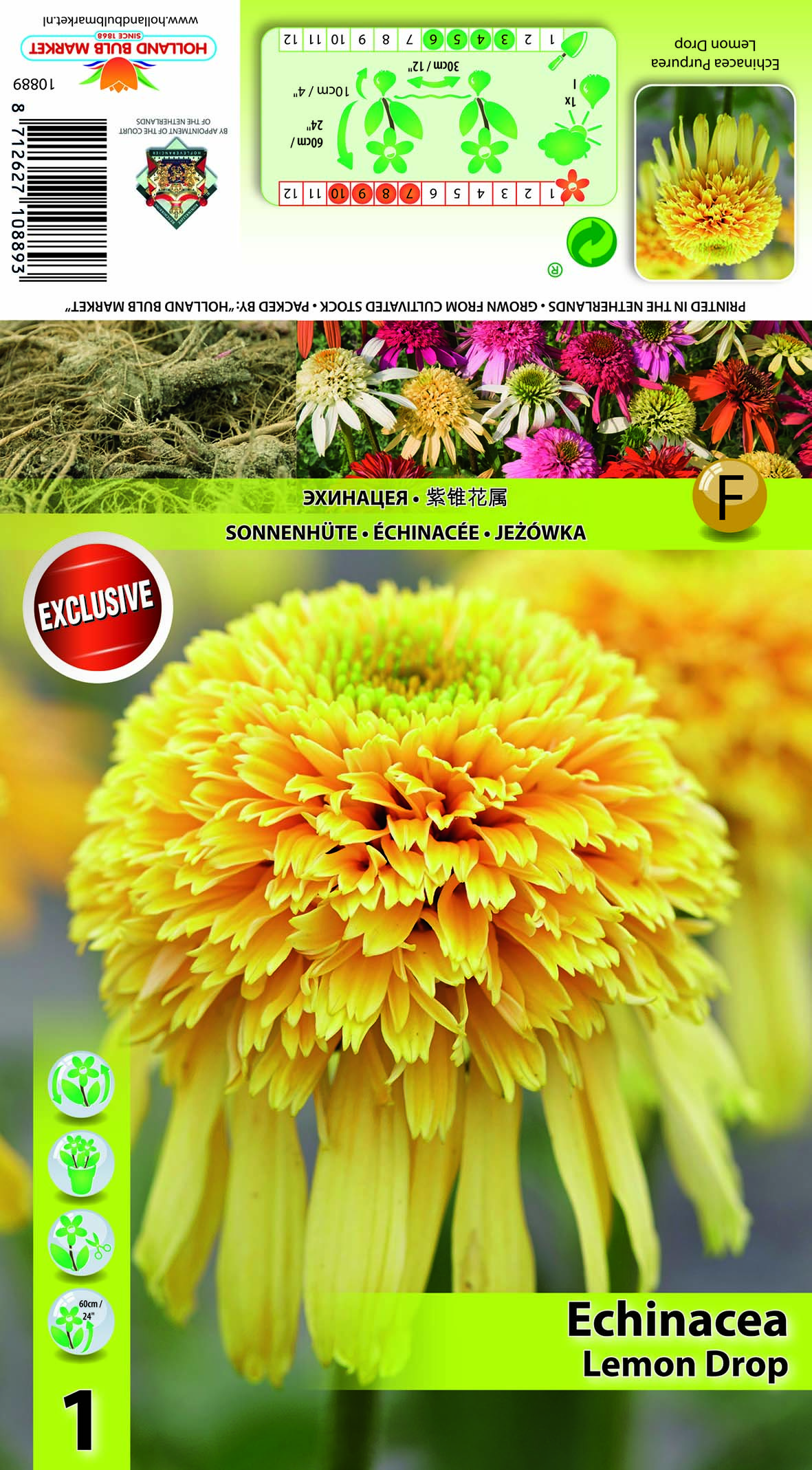 Siilkübar täidisõieline Lemon Drop 1 tk