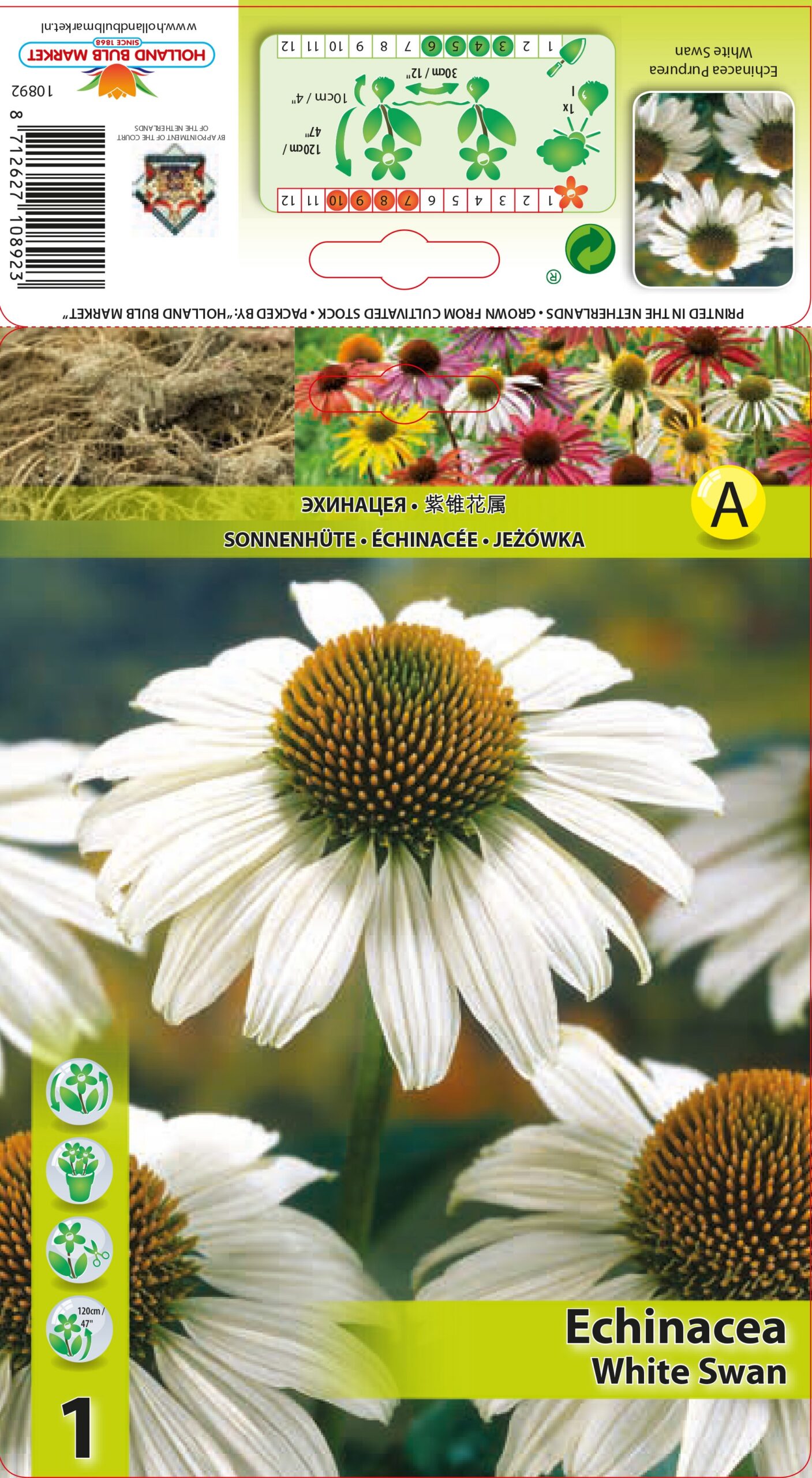 Siilkübar White Swan 1 tk