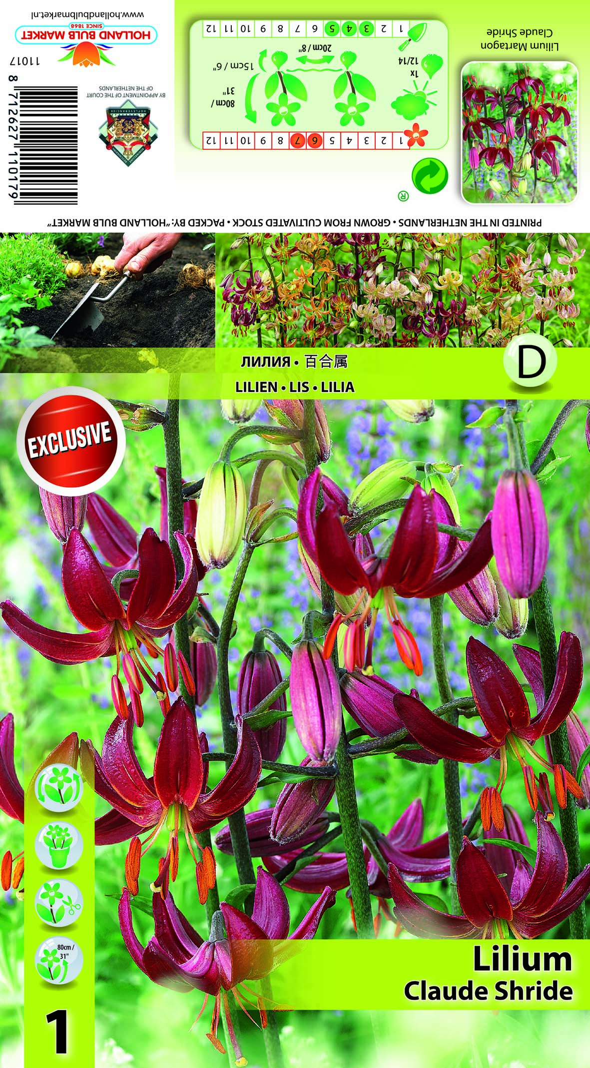 Kirju liilia Claude Shride 1 tk