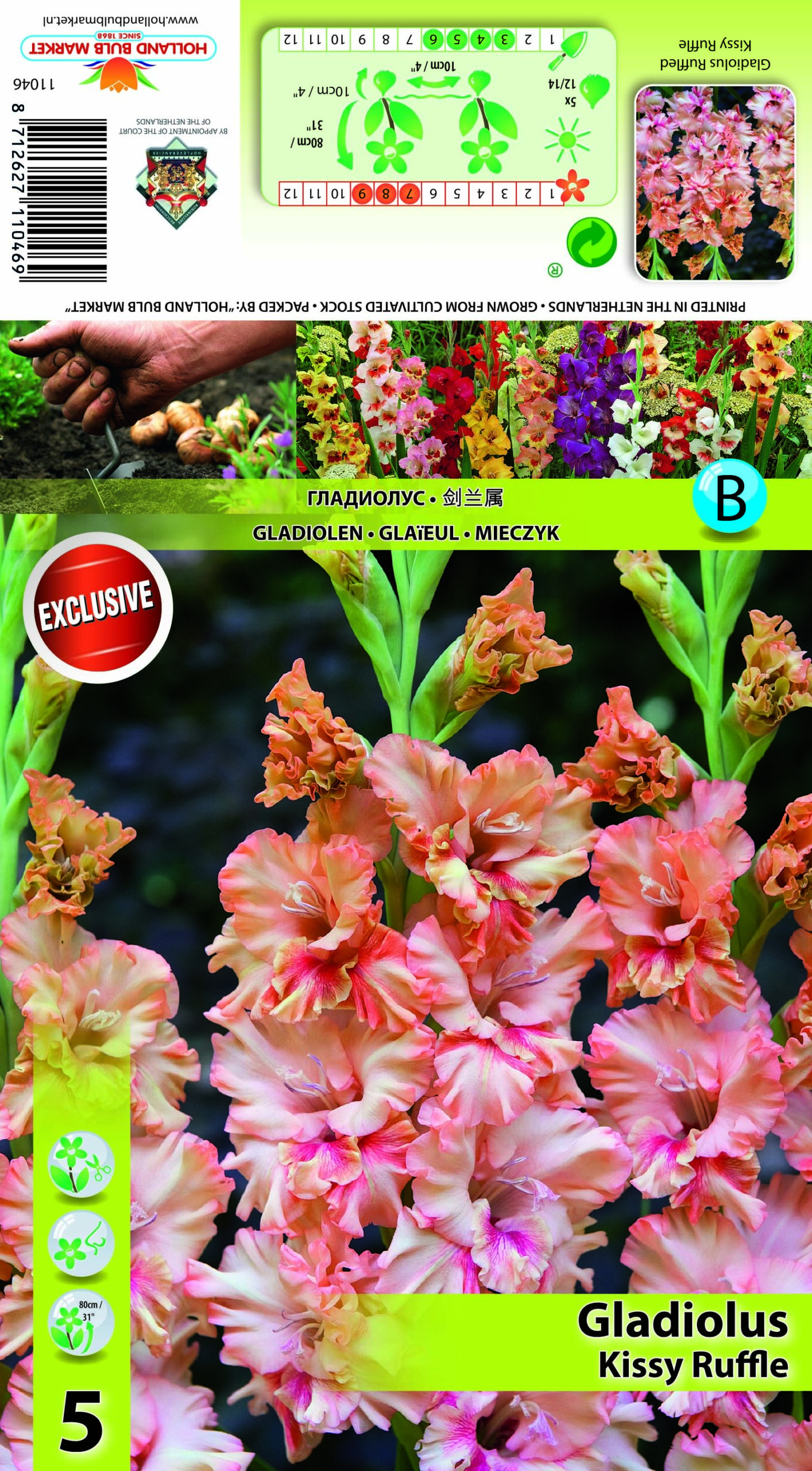 Gladiool Kissy Ruffle 5 tk