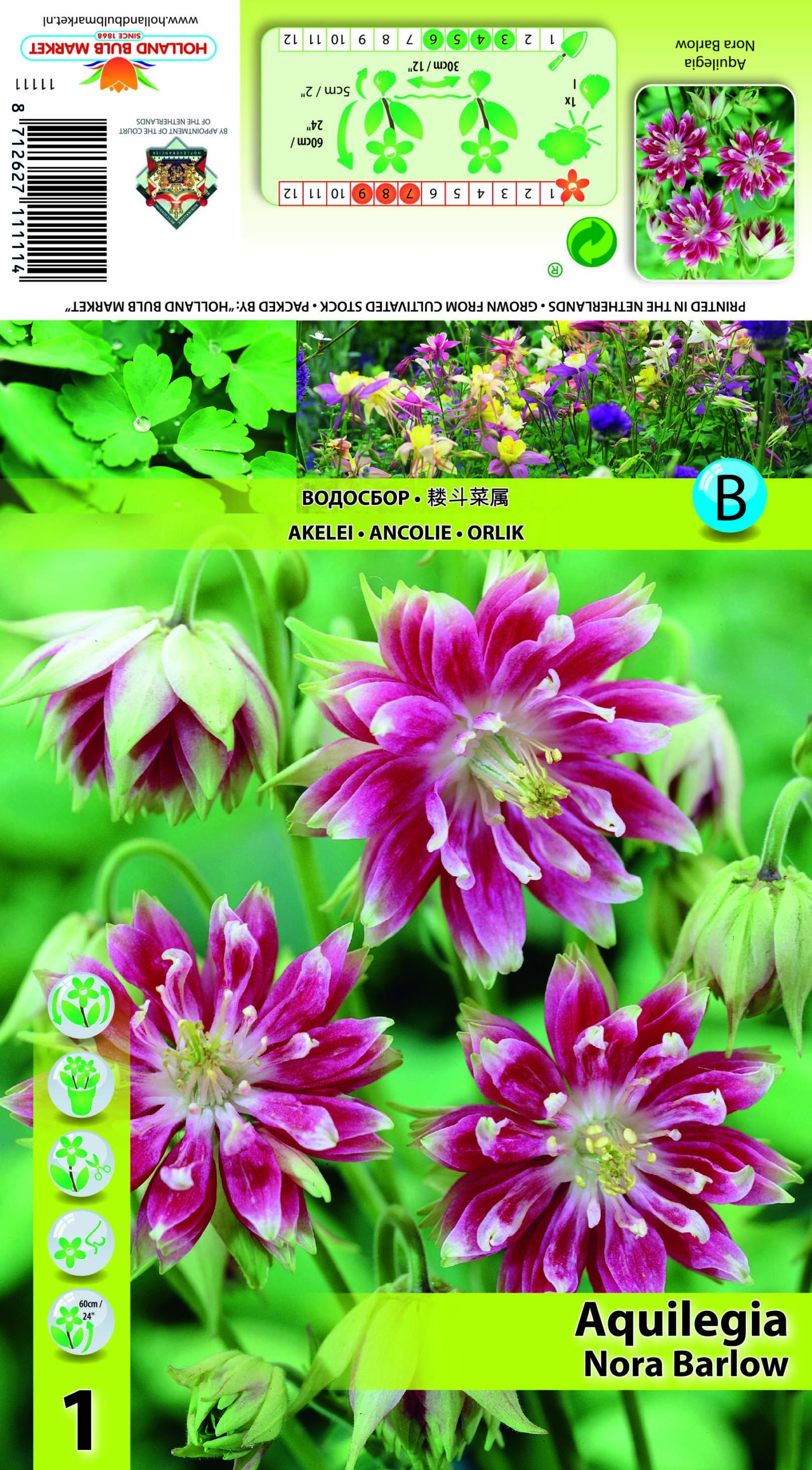 Kurekell Nora Barlow 1 tk