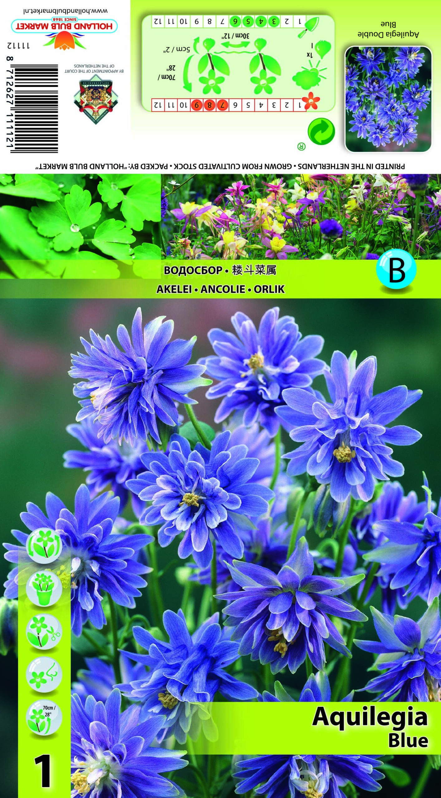 Kurekell Double Blue 1 tk