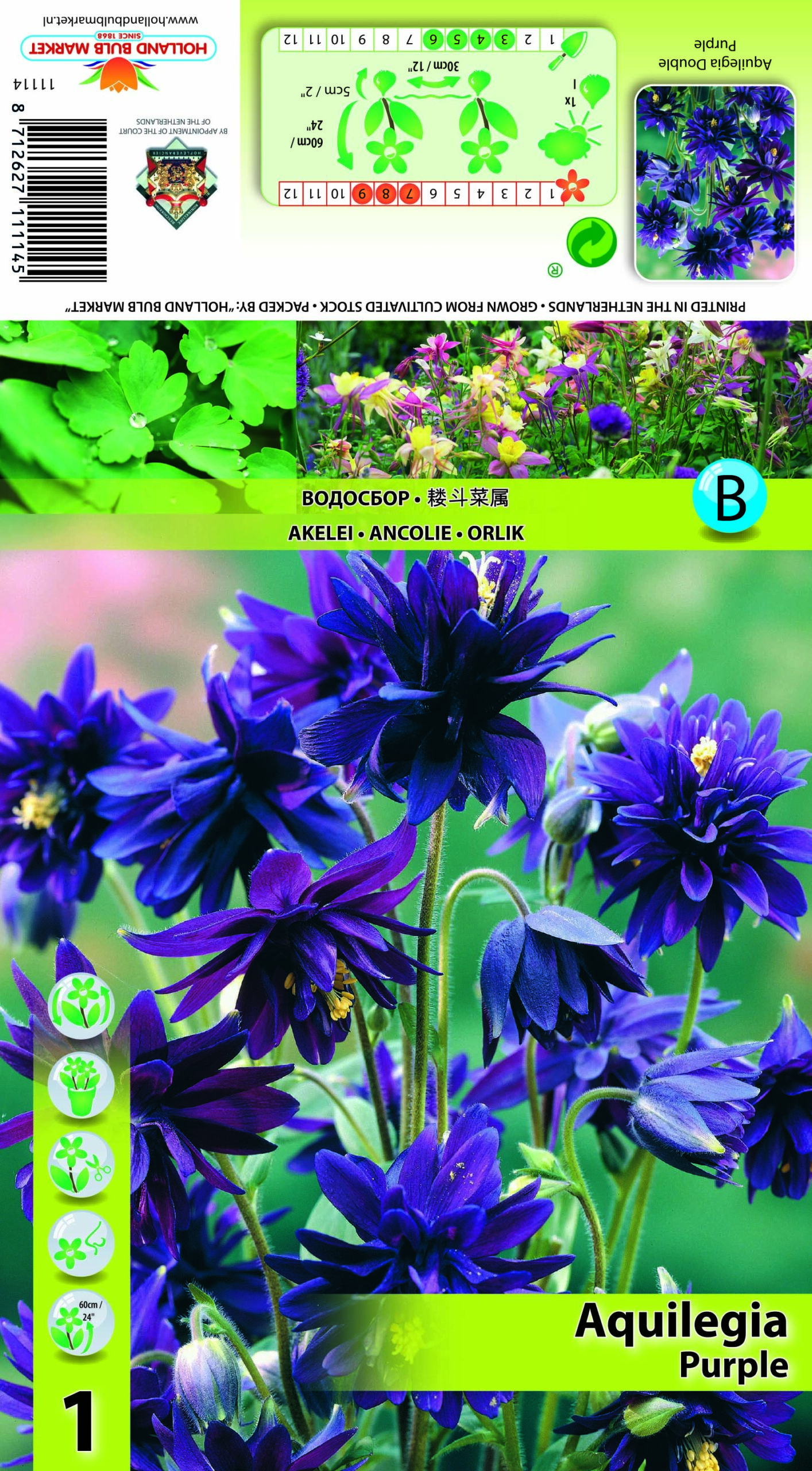 Kurekell Double Purple 1 tk