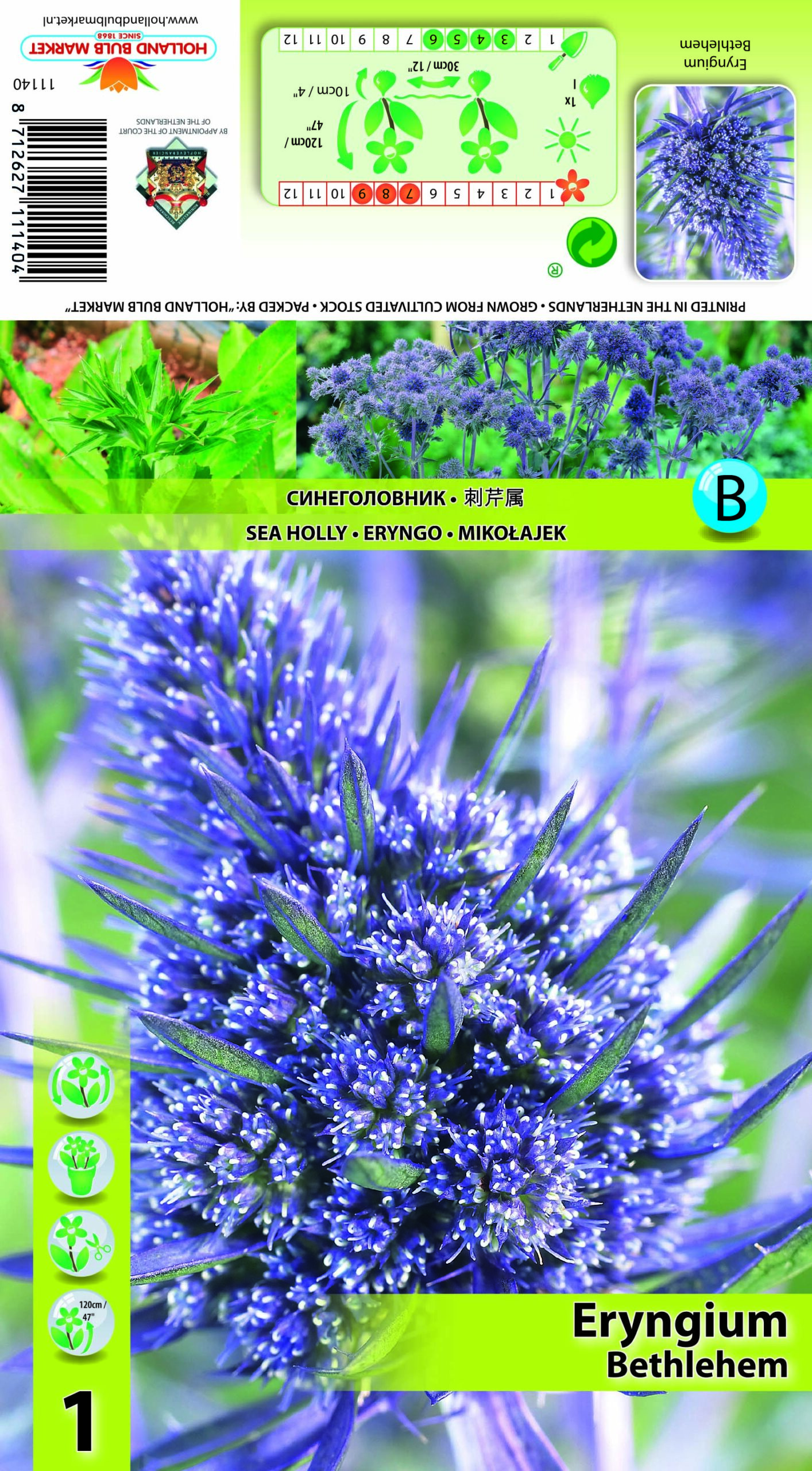 Lamedalehine ogaputk Bethlehem 1 tk