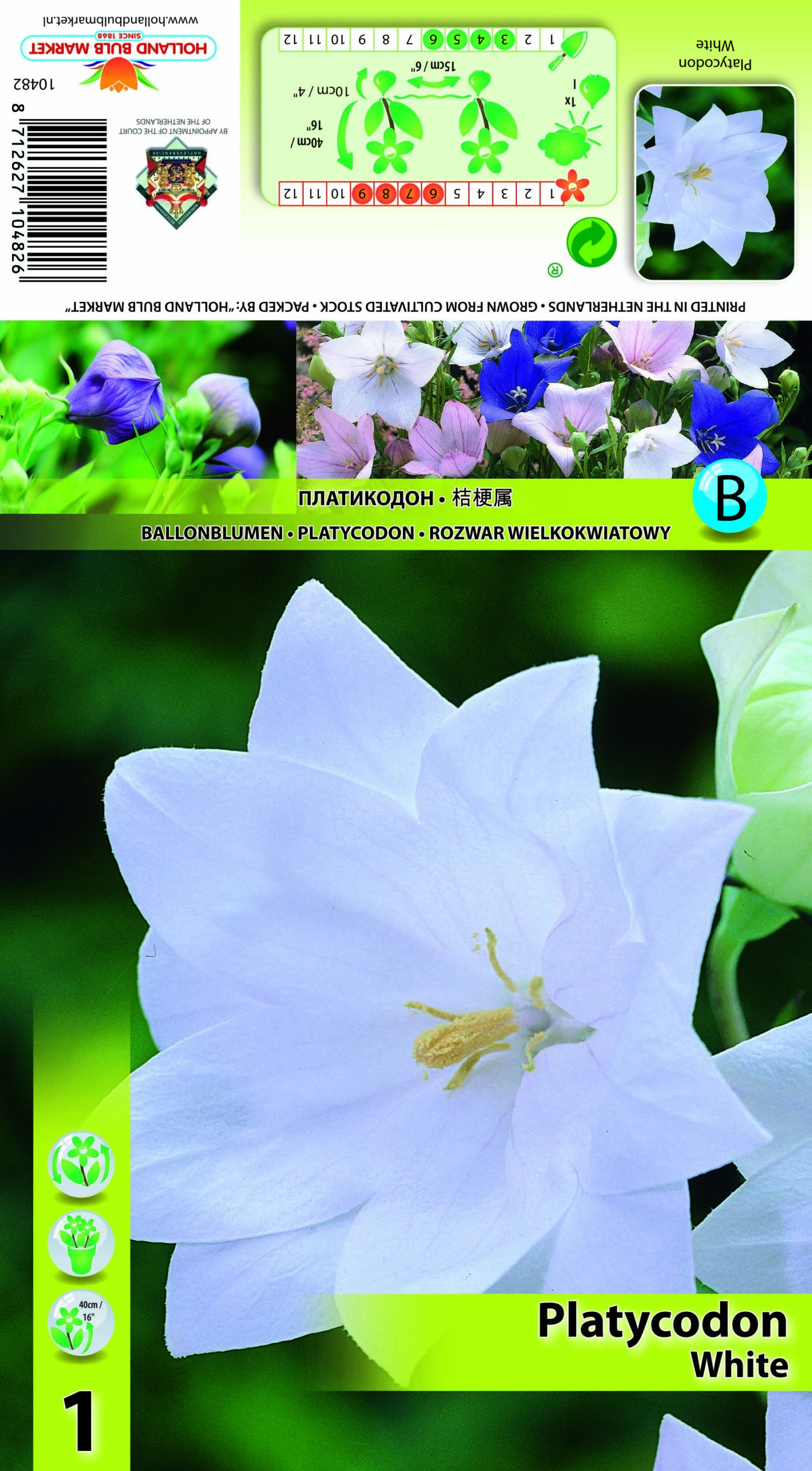 Laikellukas valge 1 tk