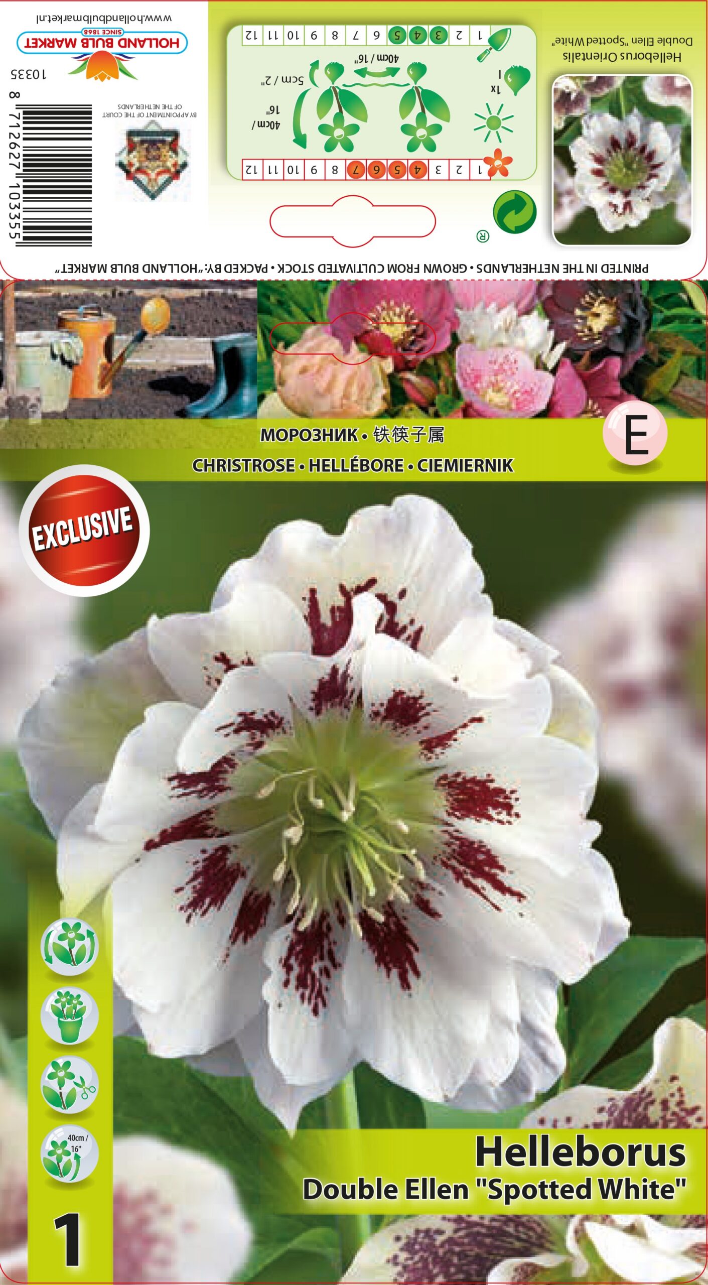 Lumeroos Double Ellen Spottled White 1 tk