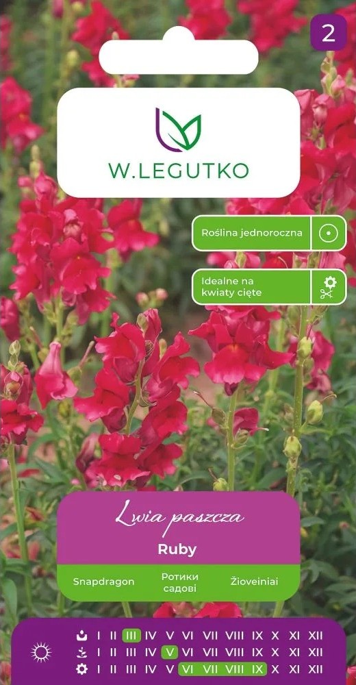 Lõvilõug Ruby 0,6g