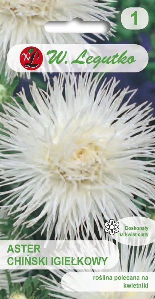 Aster nõel valge 1g