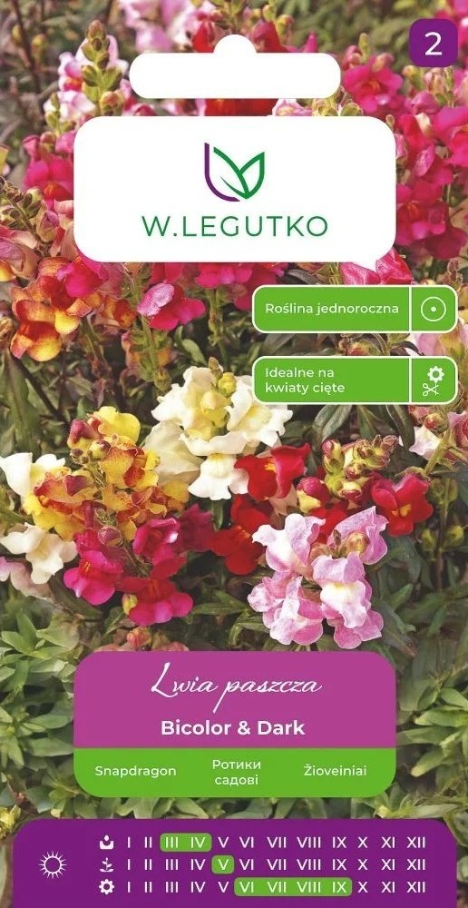 Lõvilõug madal Bicolor & Dark 0,6g