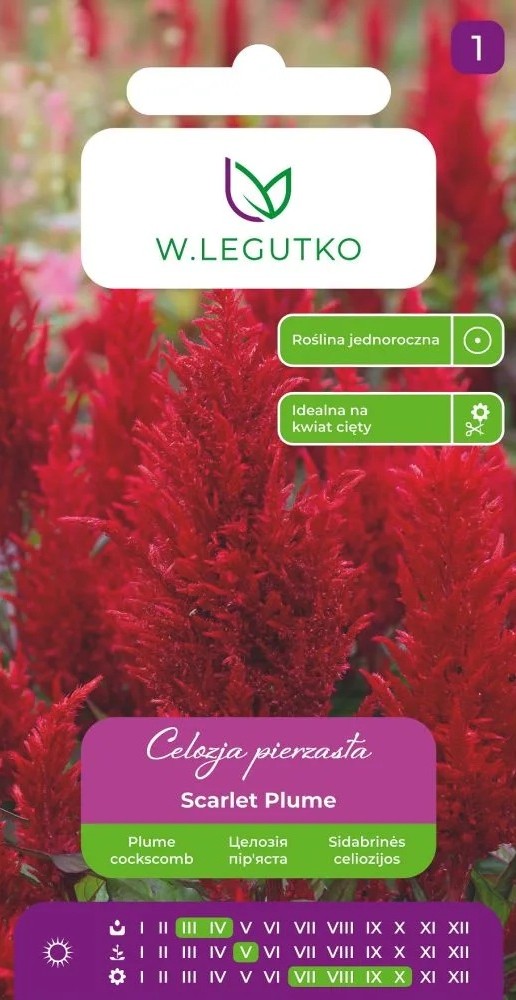 Kõrge mätashari Scarlet Plume 0,3g