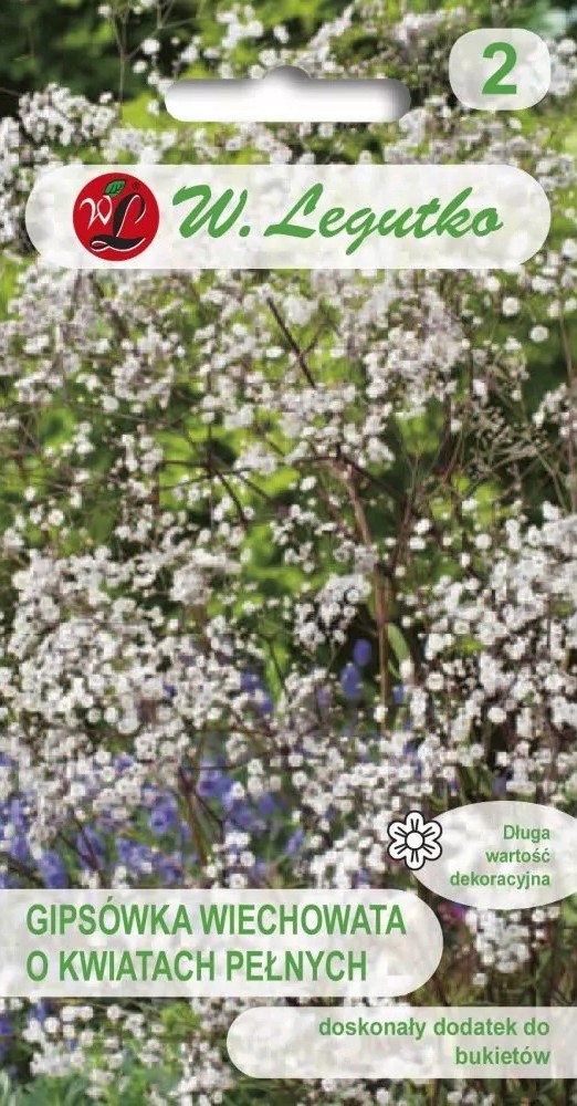 Pööris-kipslill white 1g