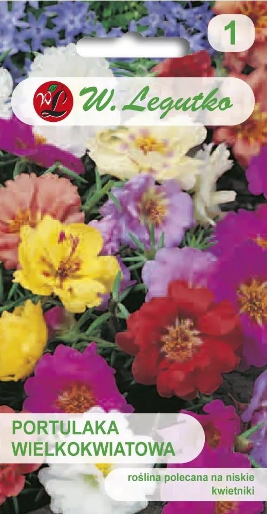 Suureõieline portulak värvide segu 0,5g