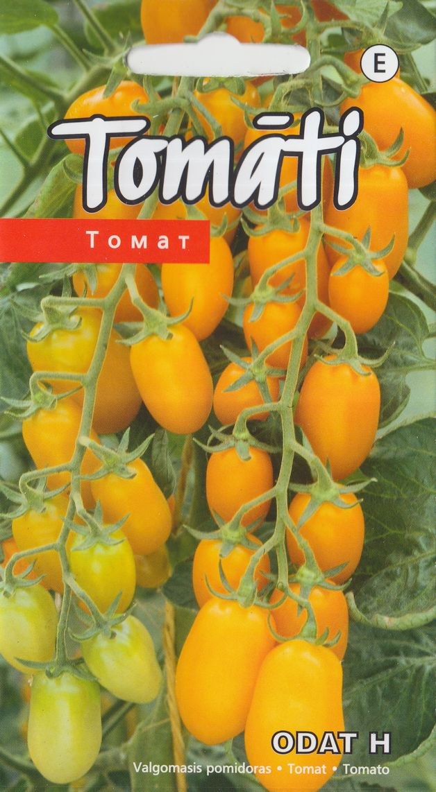 Tomat Odat H 5s