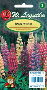 Lupiin Russel segu 2g