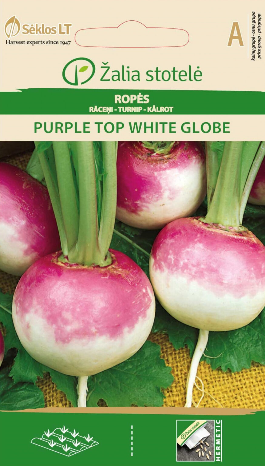 Kaalikas Purple Top White Globe