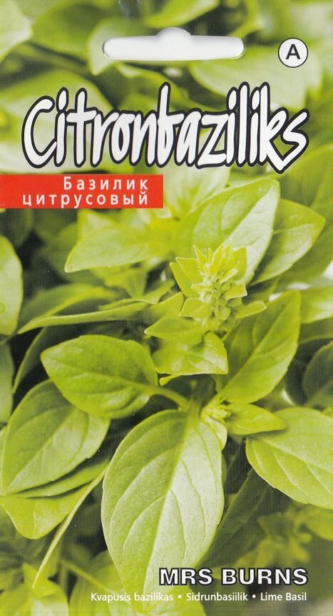 Sidrunbasiilik Mrs. Burns 0,3g