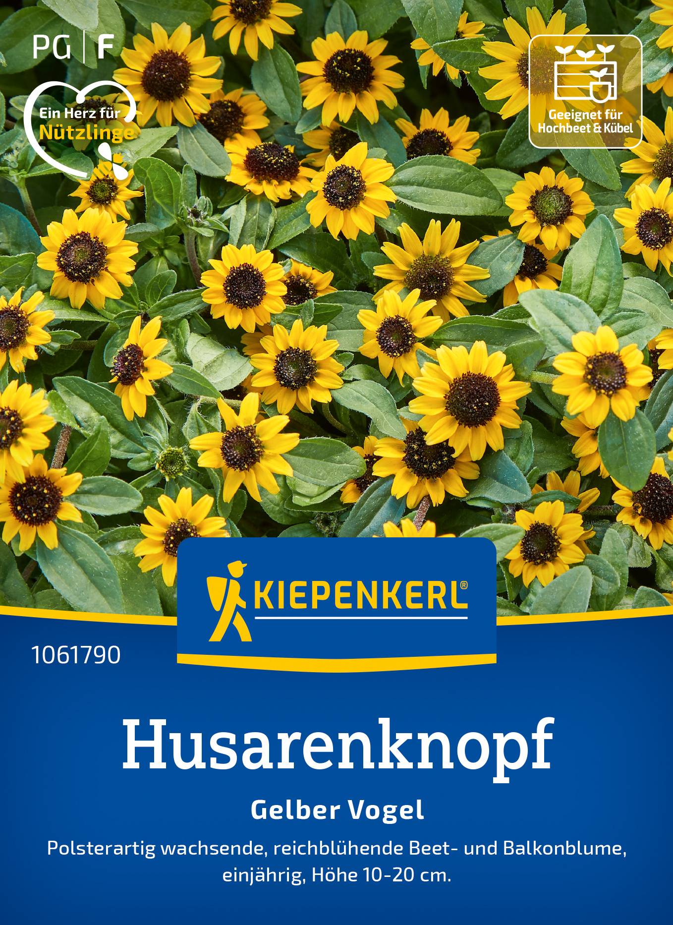 Sanvitaalia Gelber Vogel S