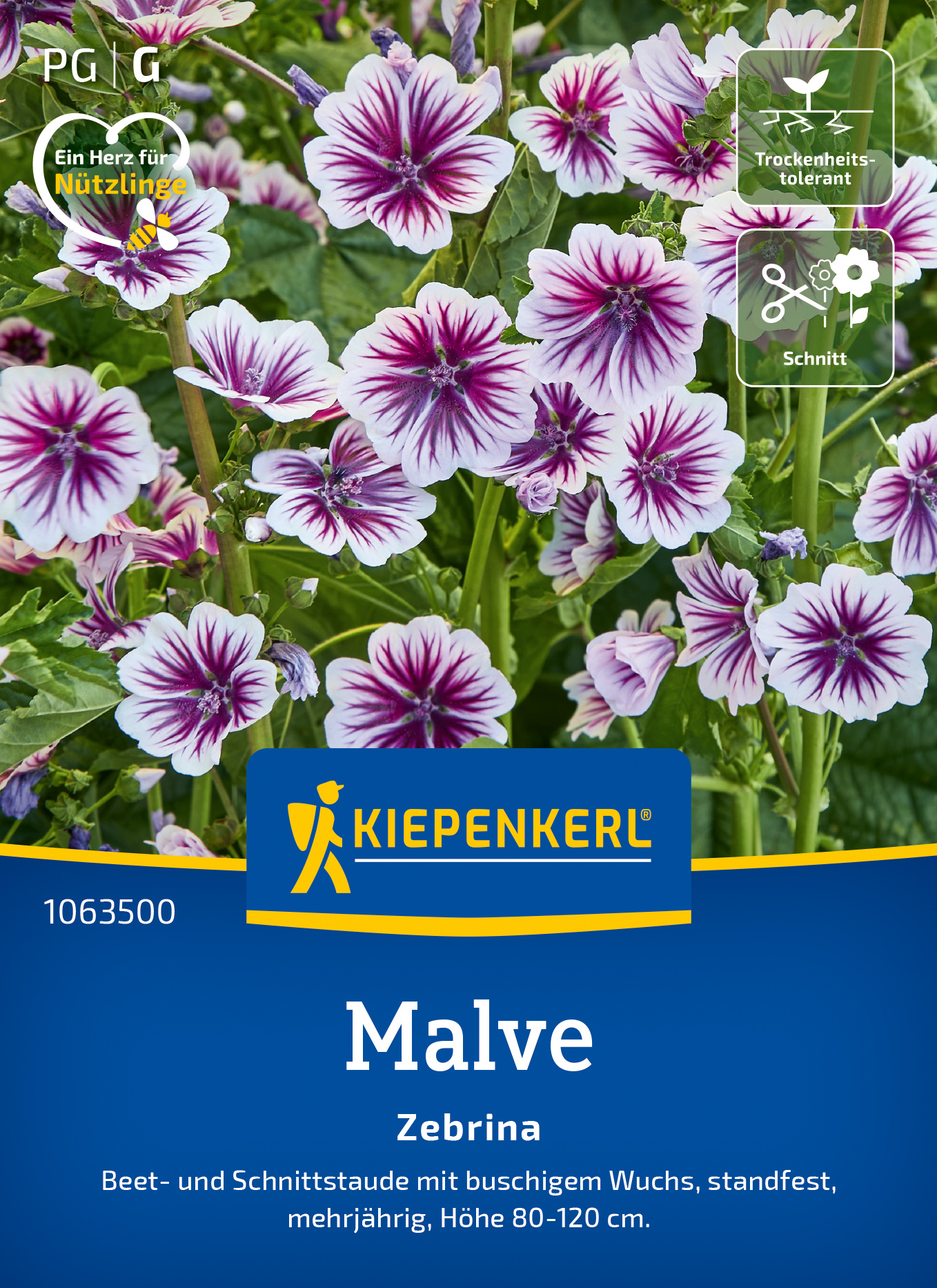 Mets-kassinaeris Zebrina S