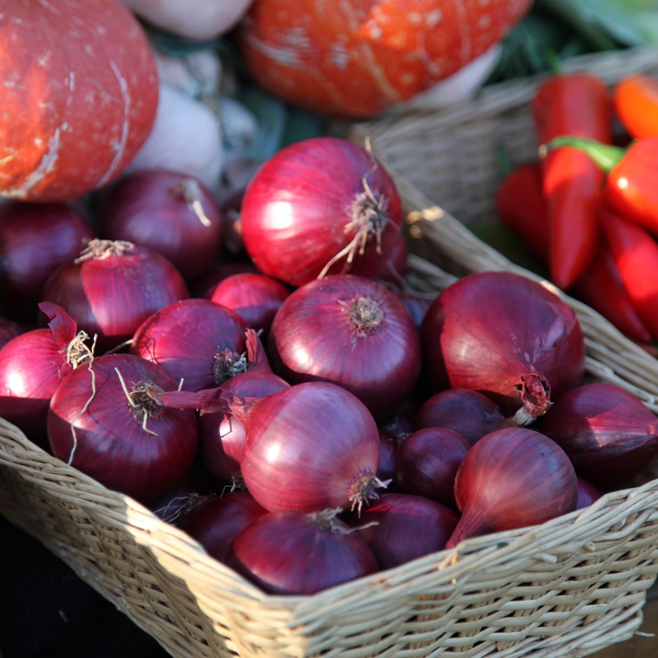 Tippsibul Red Baron 21-24 mm 1 kg