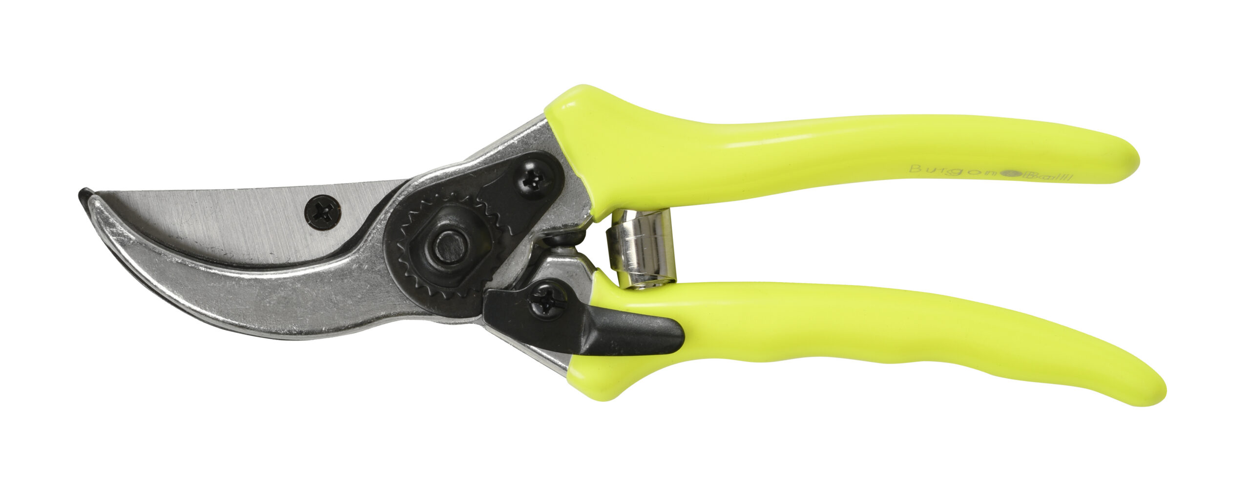 Oksakäärid FloraBrite kollane