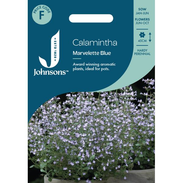 Harilik kivimünt Marvelette Blue