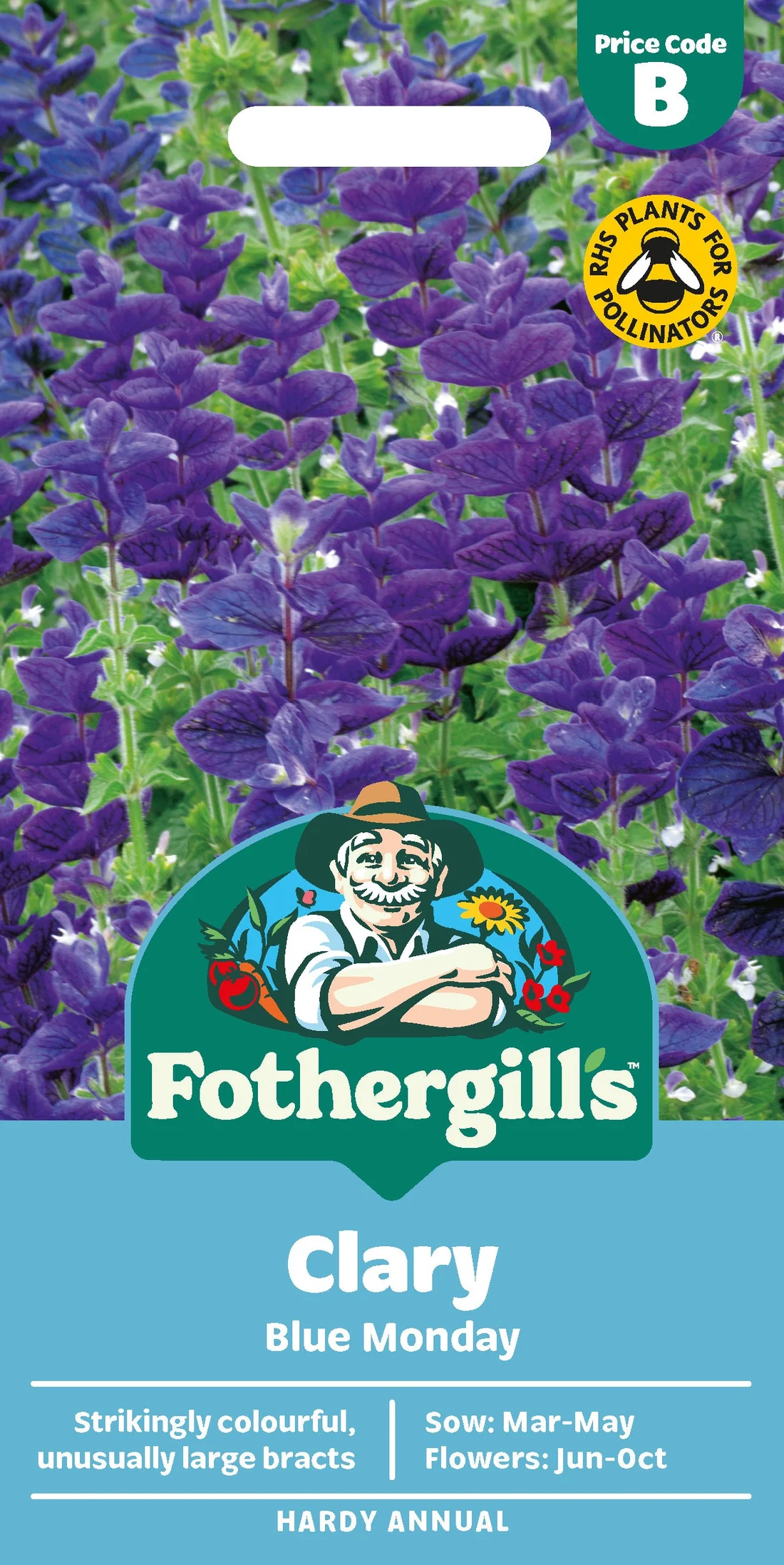 Kirju salvei Blue Monday