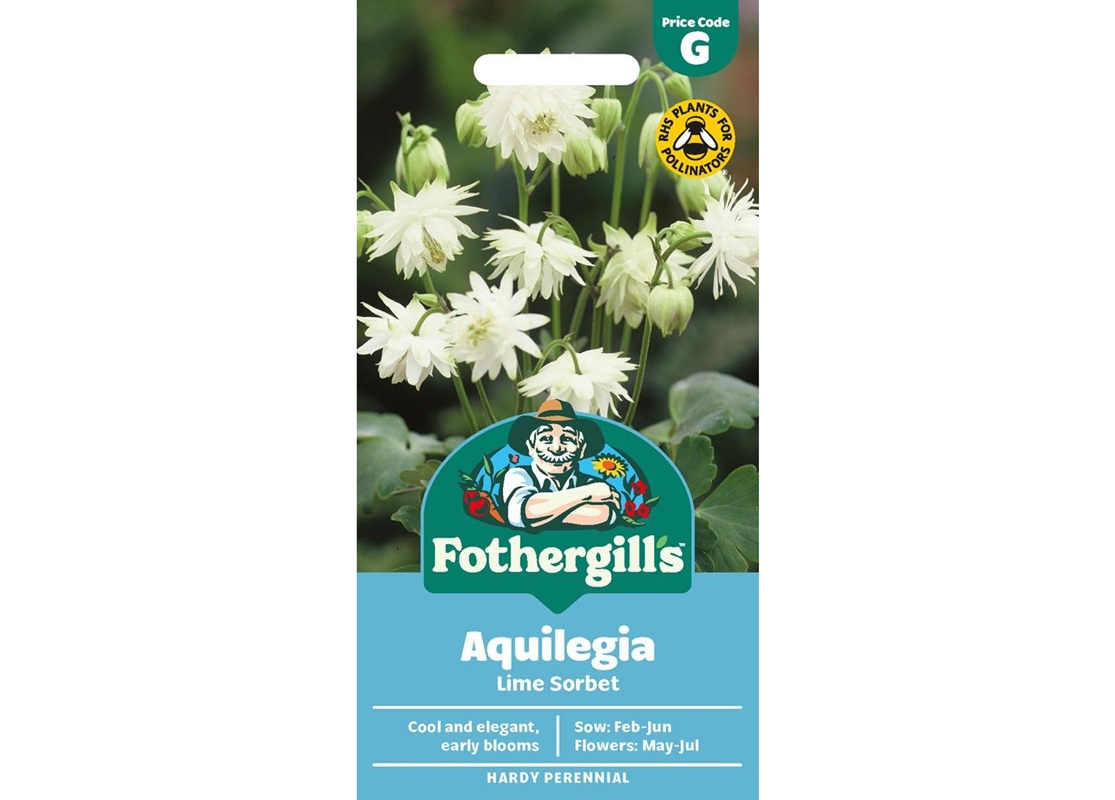 Harilik Kurekell Lime Sorbet