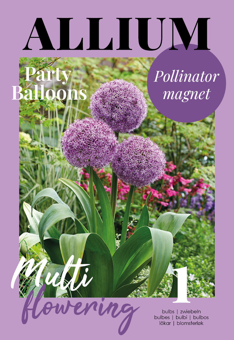 Ilulauk Party Balloons 1 tk