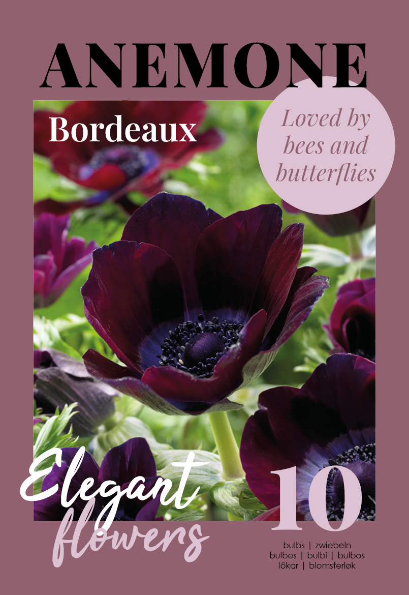 Kroonülane Bordeaux 10 tk
