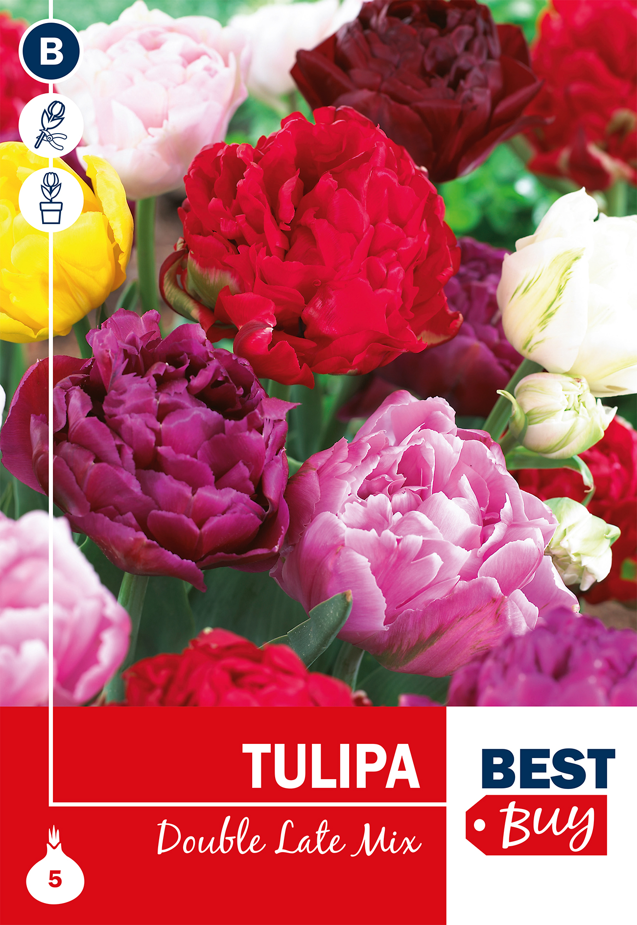Tulp täidisõieliste segu 5 tk