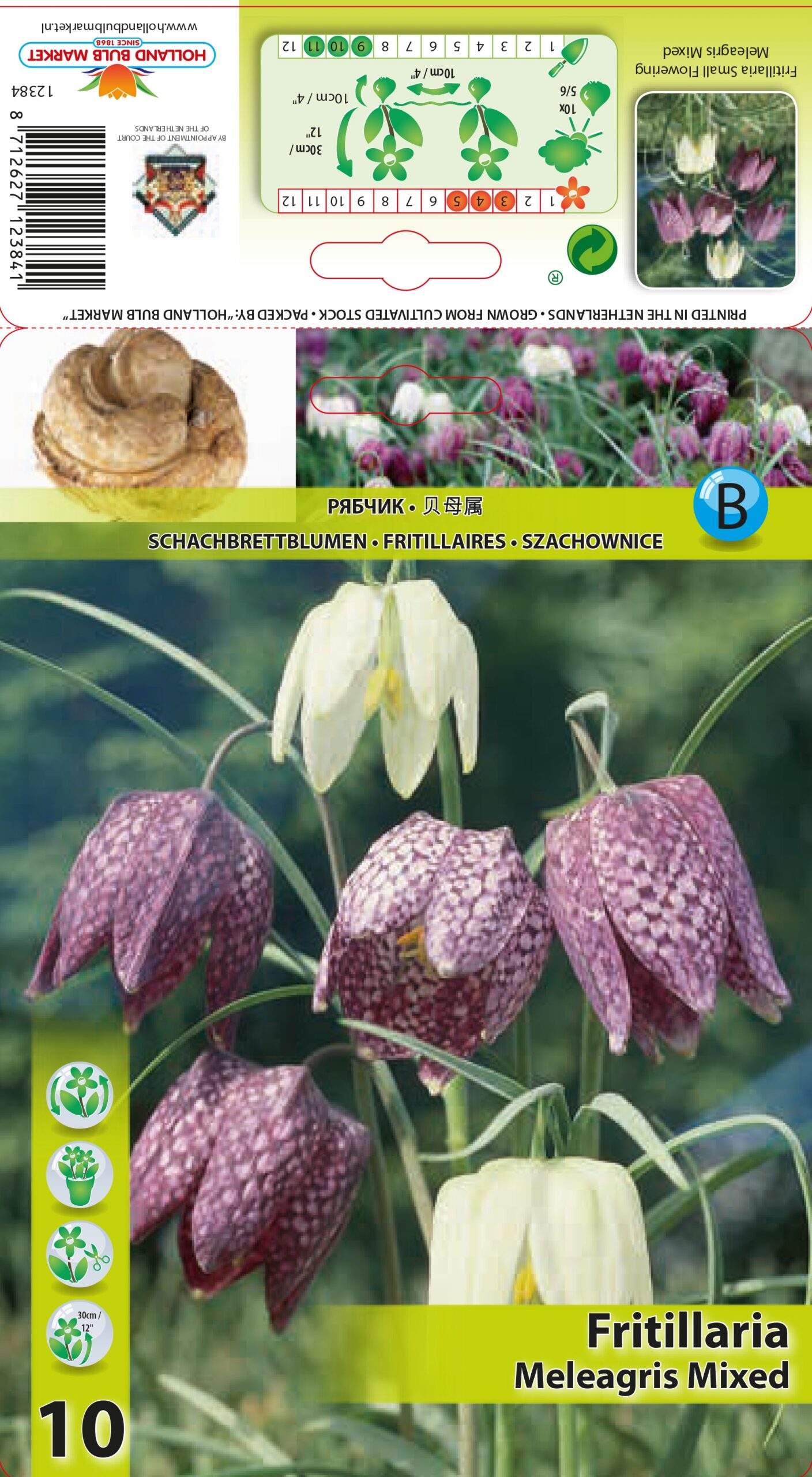 Püvilill Meleagris segu 10 tk
