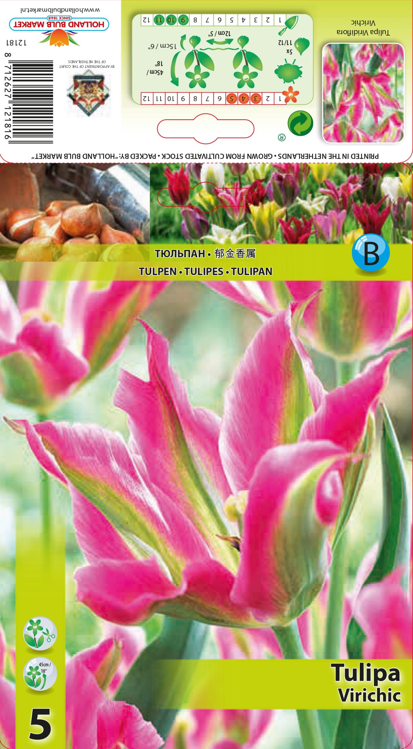 Tulp Virichic 5 tk