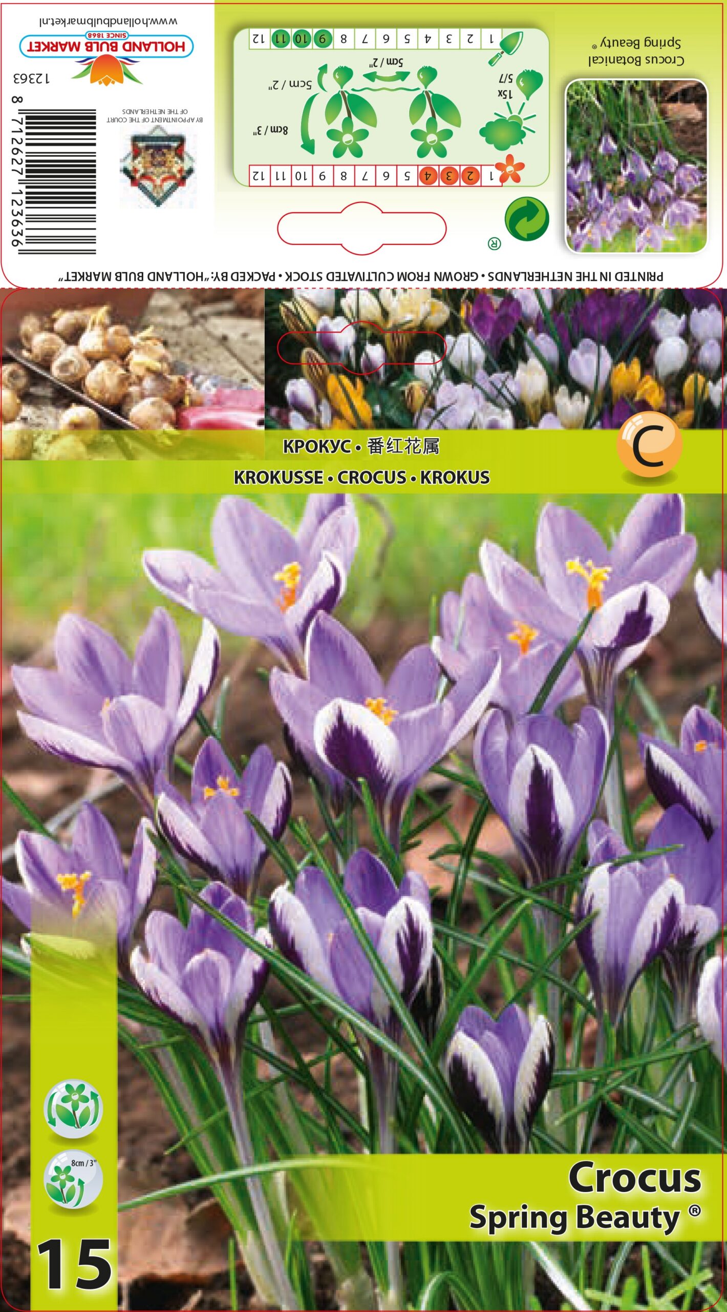 Krookus Spring Beauty 15 tk