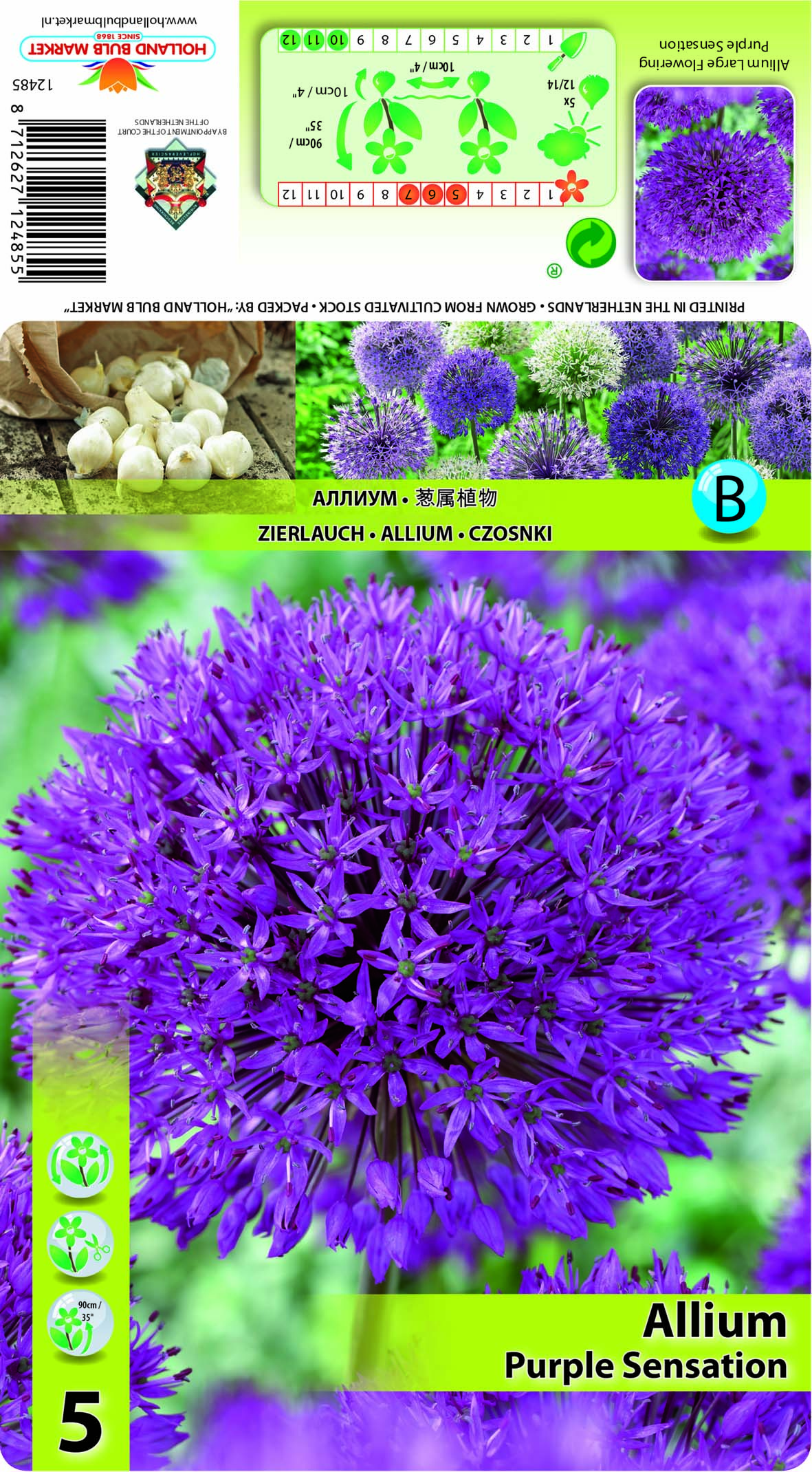 Ilulauk Purple Sensation 5tk