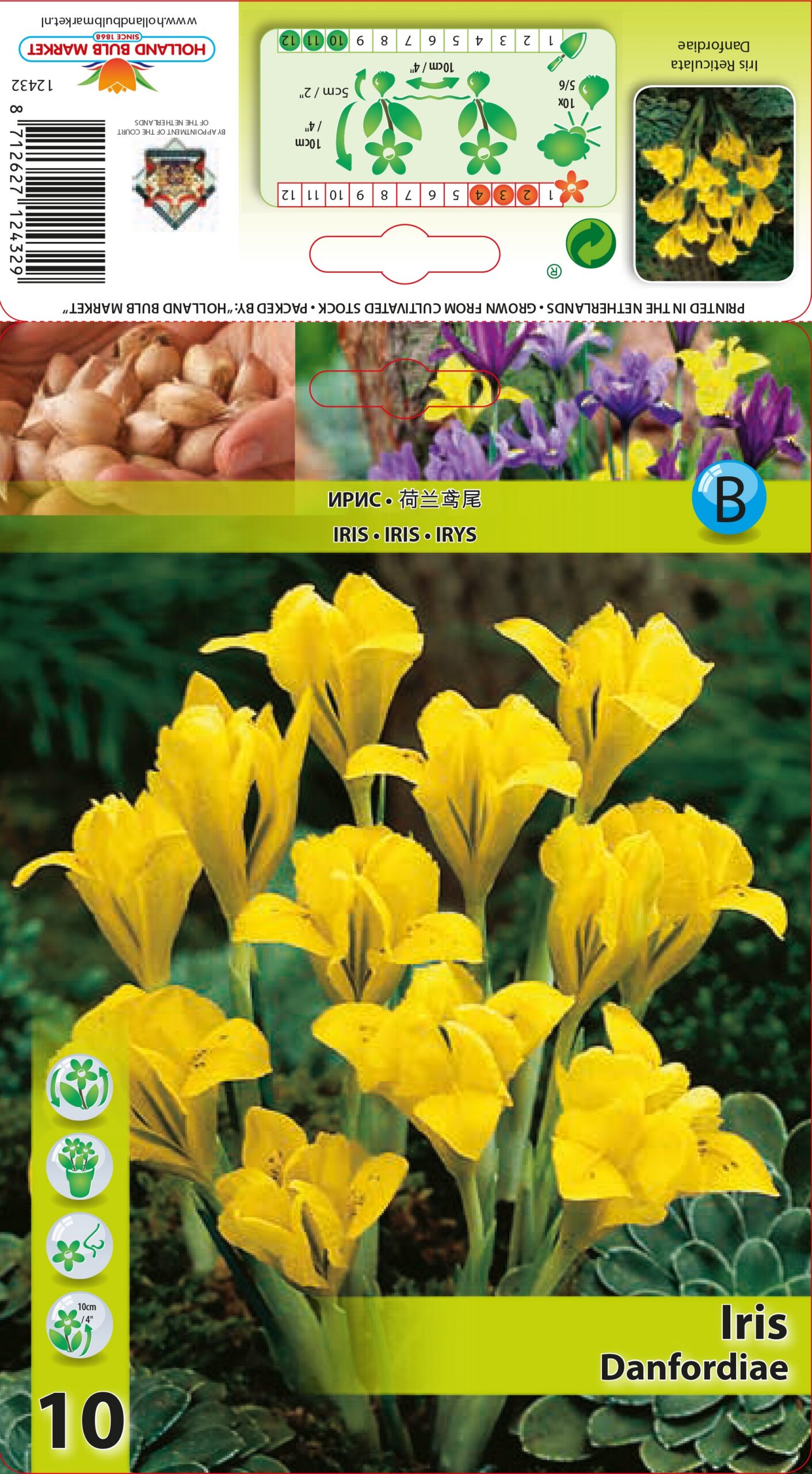 Danfordi iiris 10 tk