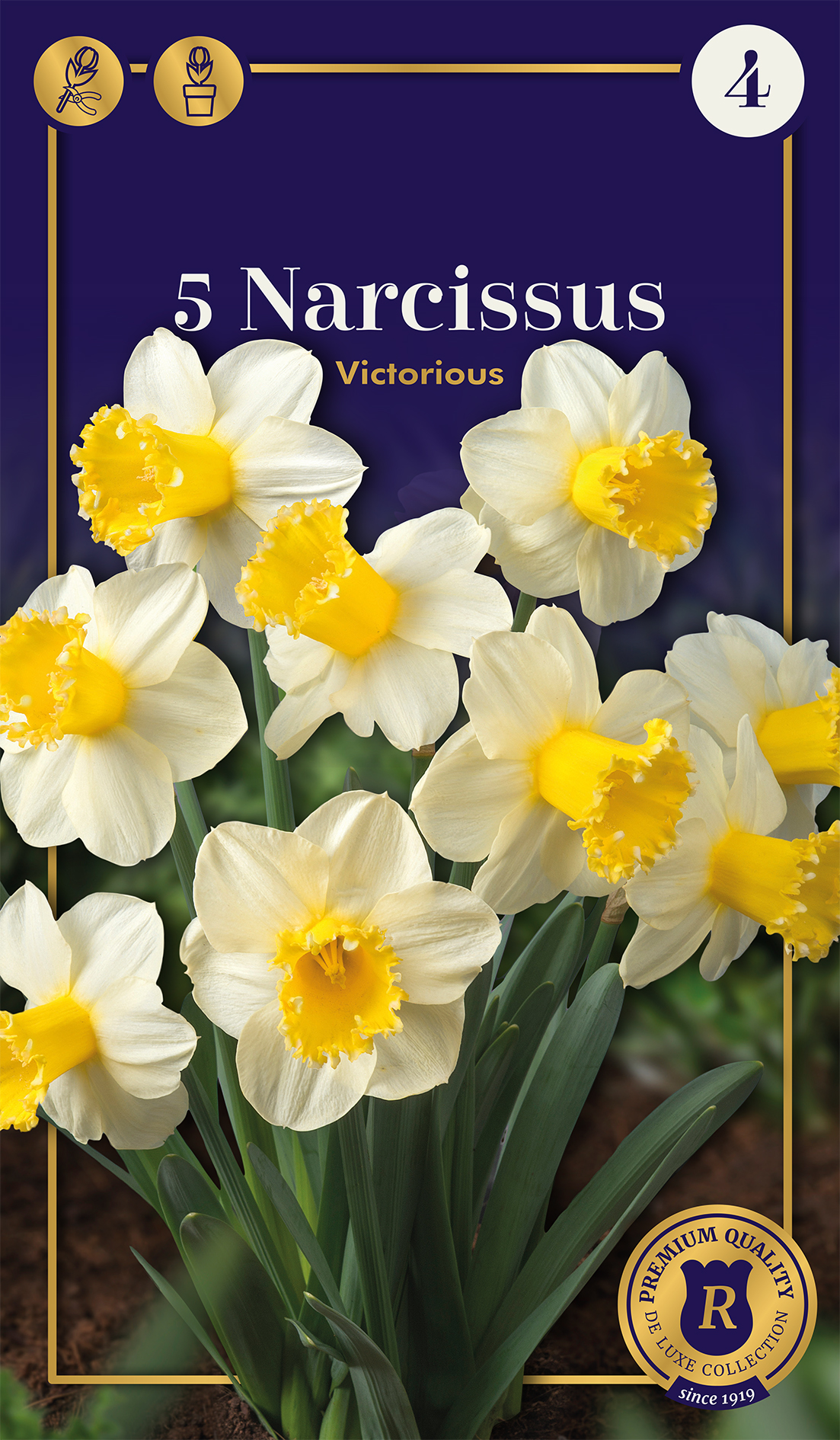 Nartsiss Victorius 5 tk