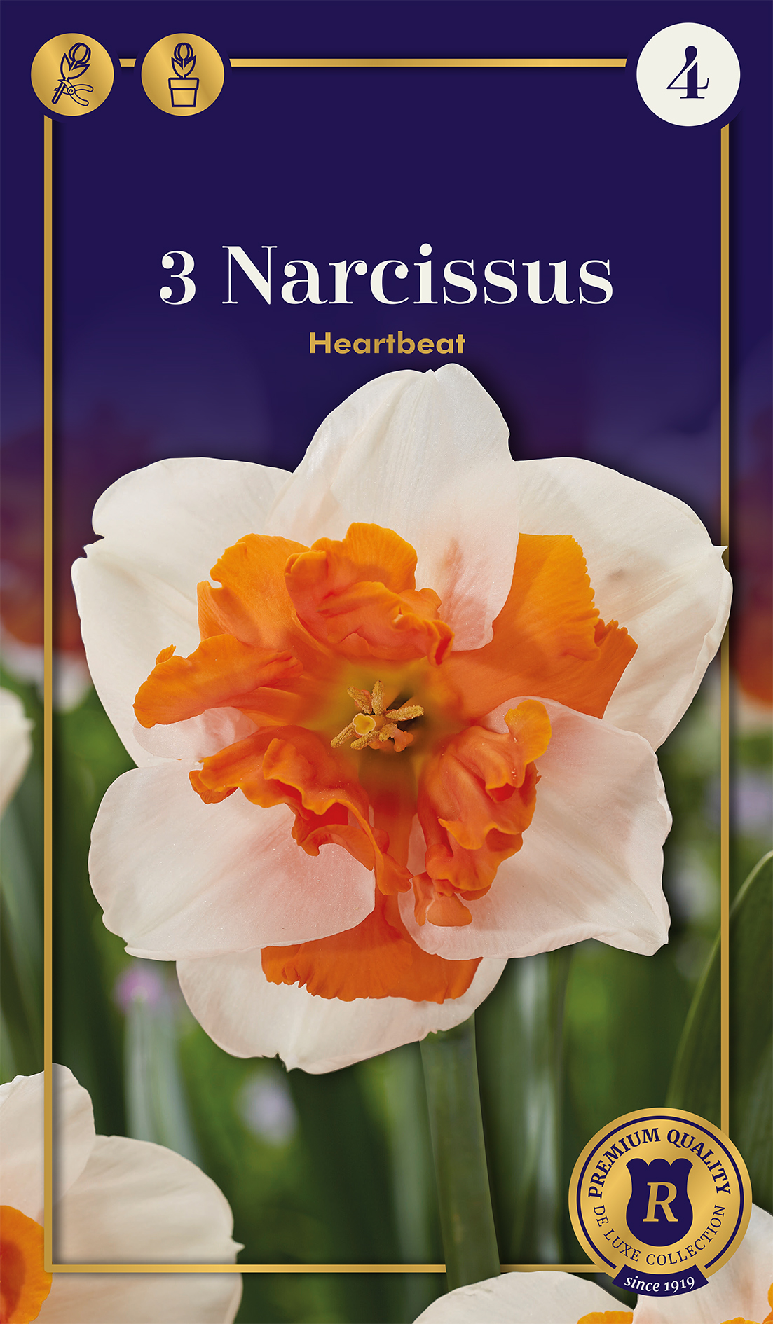 Nartsiss Heartbeat 3 tk
