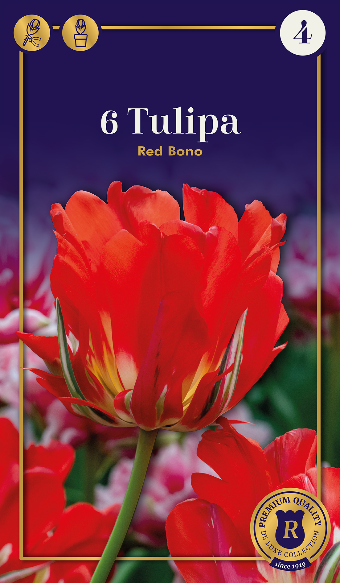 Tulp Red Bono 5 tk