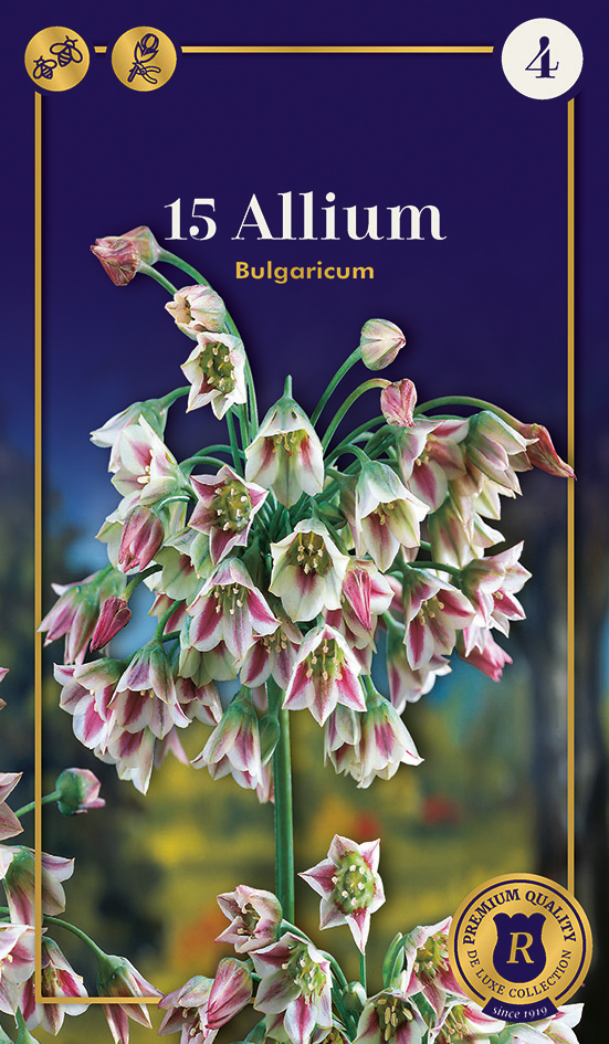 Ilulauk Bulgaricum 15 tk