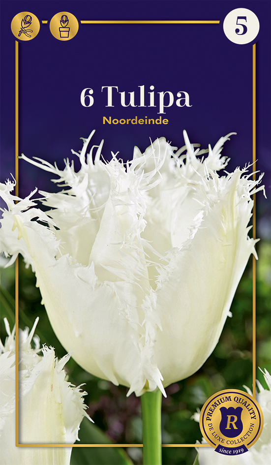 Tulp Noordeinde 6 tk