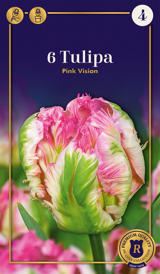 Tulp Pink Vision 6 tk