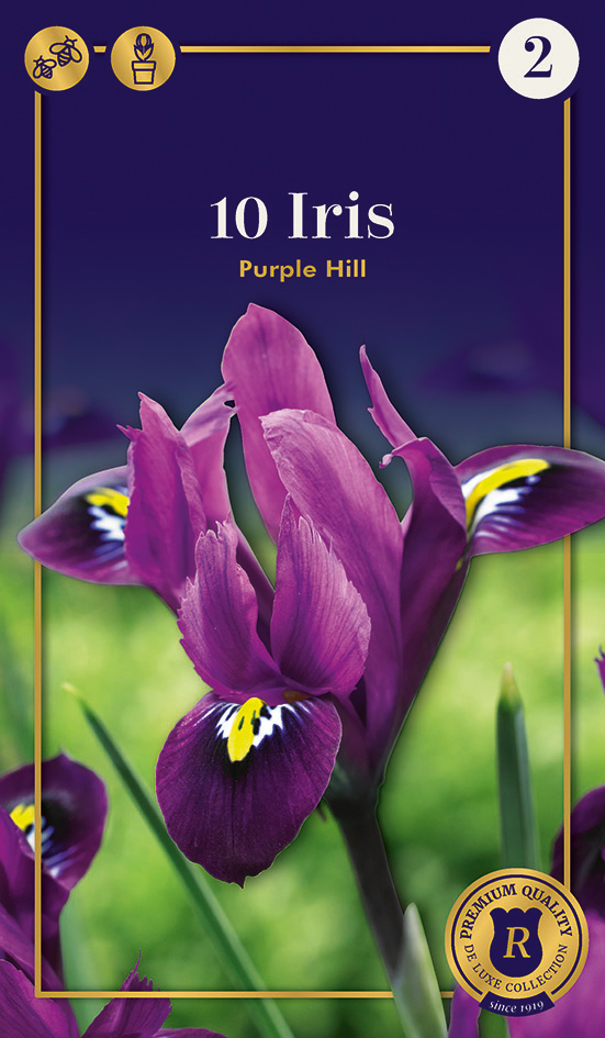 Võrkiiris Purple Hill 10 tk
