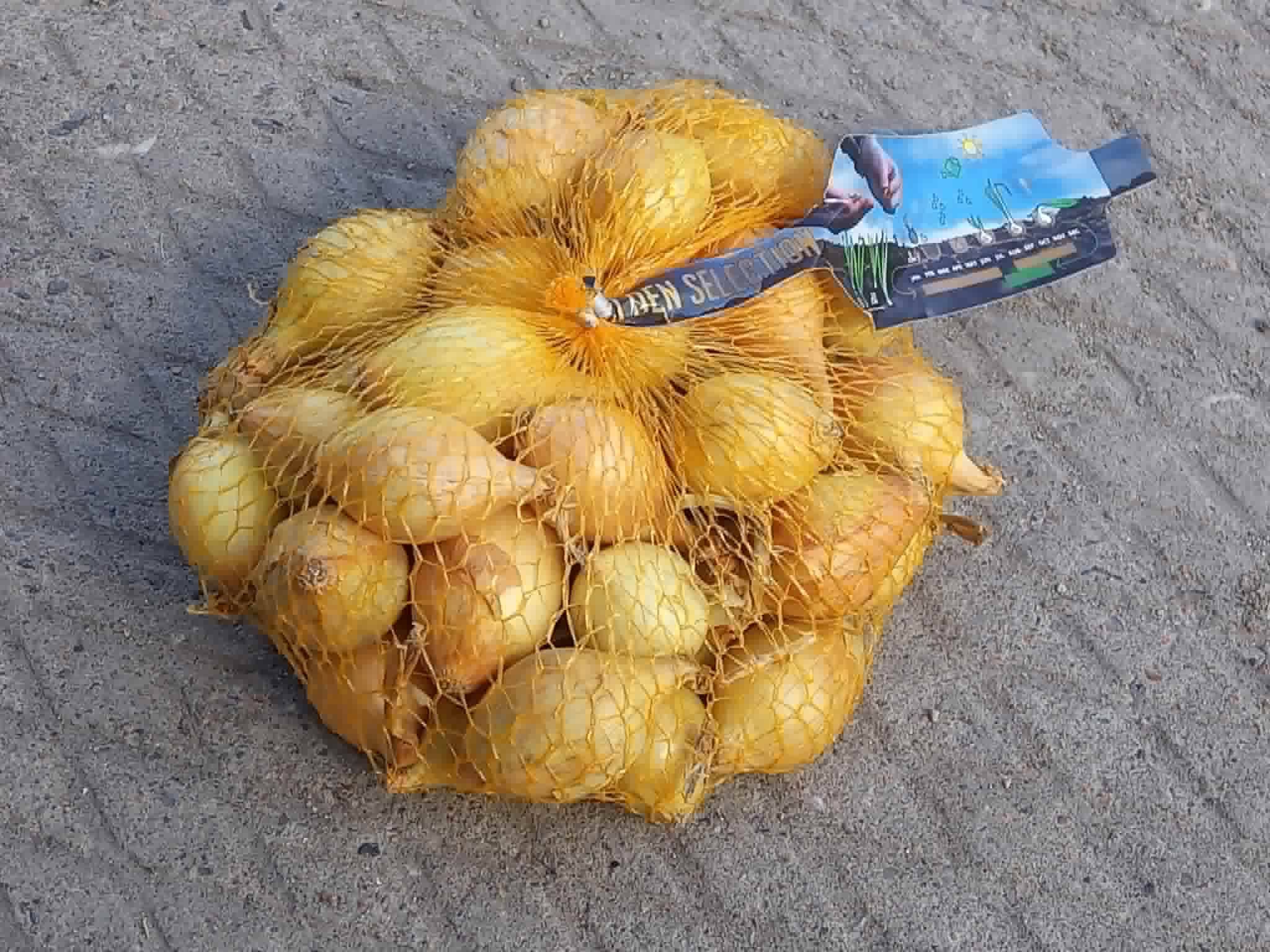 Talisibul Senshuy Yellow 21 - 24 mm 0,5kg