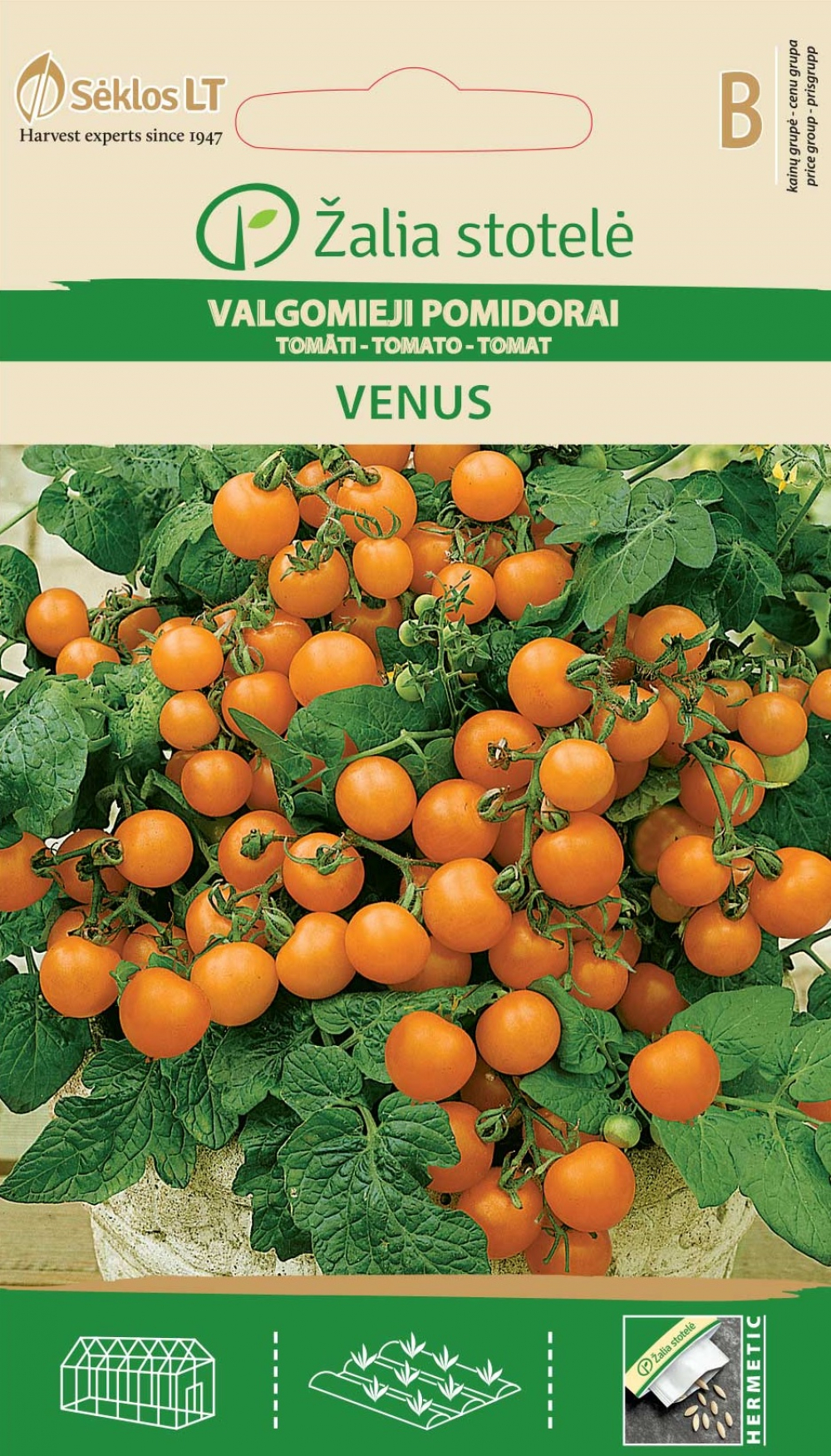 Tomat Venus 0,2g