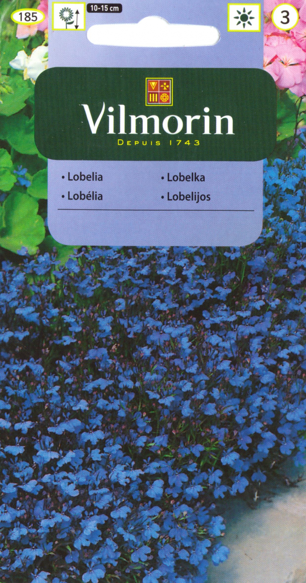 Ripp-lobeelia